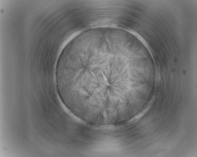 X0000071960957200607282030