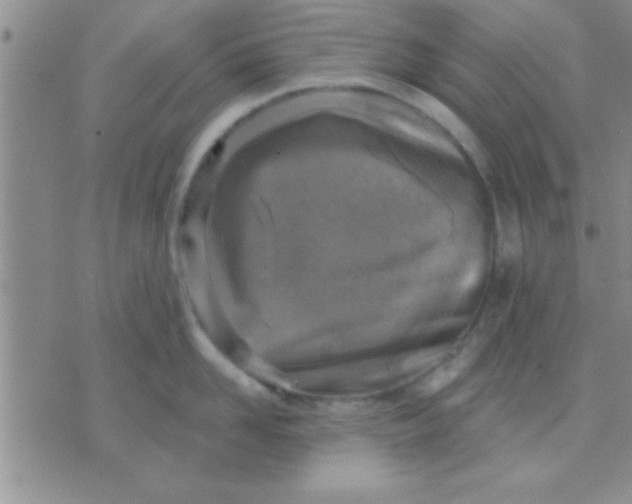 X0000071960958200607282030