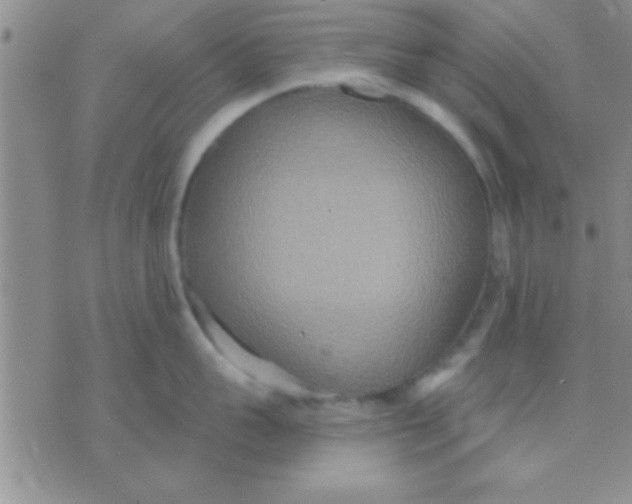 X0000071960959200607282030