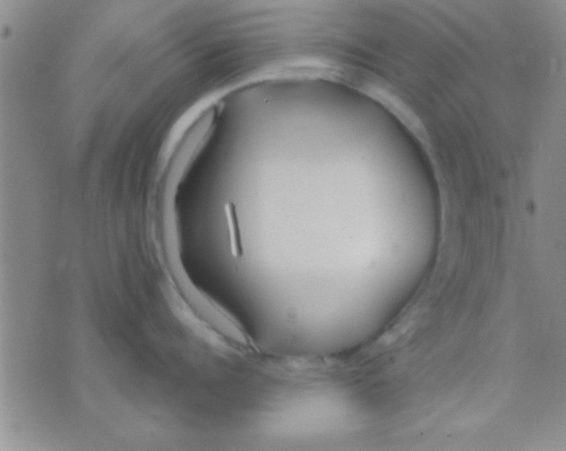 X0000071960960200607282030