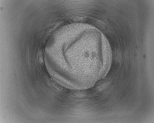 X0000071960962200607282029