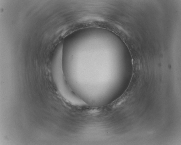 X0000071960965200607282029