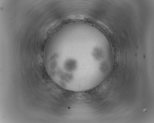 X0000071960966200607282029