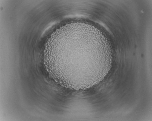 X0000071960967200607282029