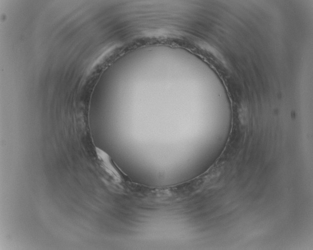 X0000071960968200607282029