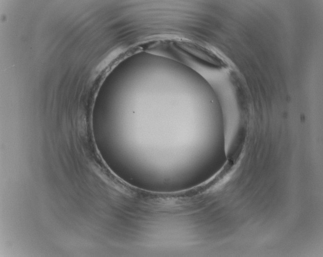 X0000071960969200607282029