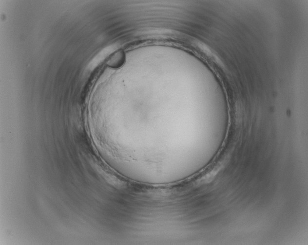 X0000071960970200607282029