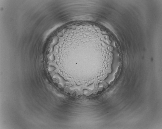 X0000071960971200607282029