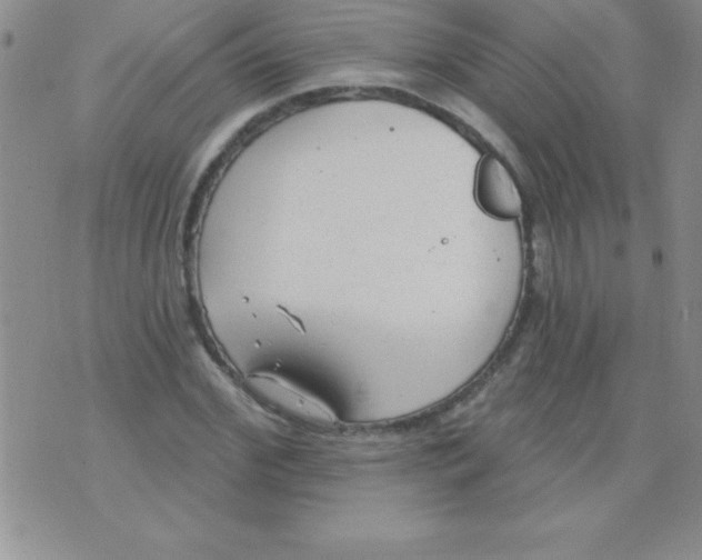 X0000071960972200607282029