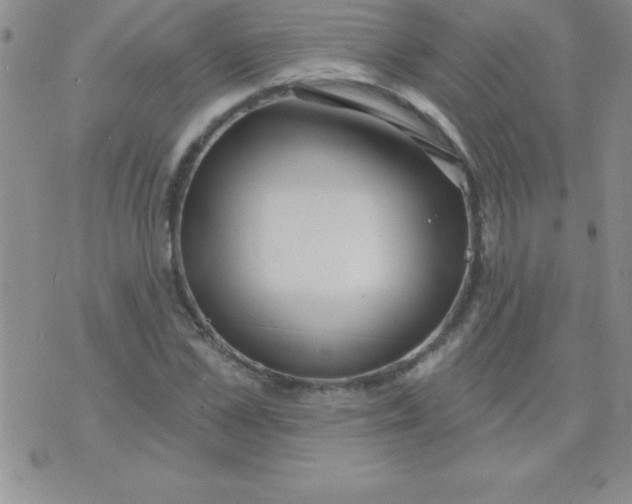 X0000071960973200607282029