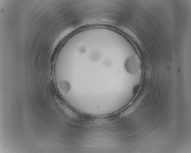 X0000071960974200607282029