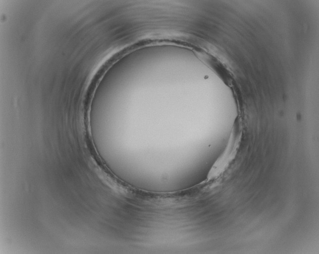 X0000071960976200607282029