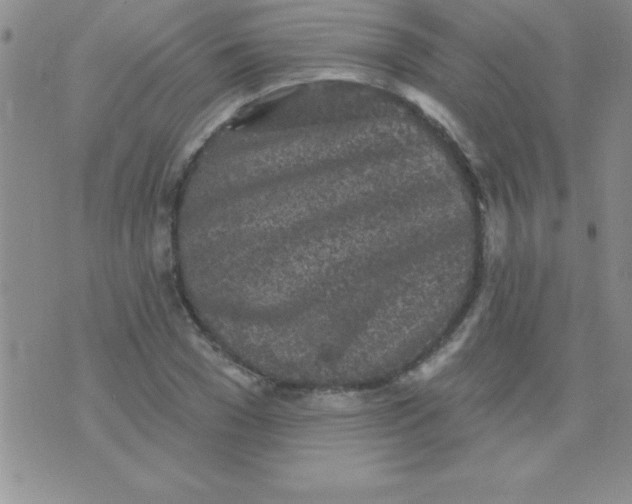 X0000071960977200607282029