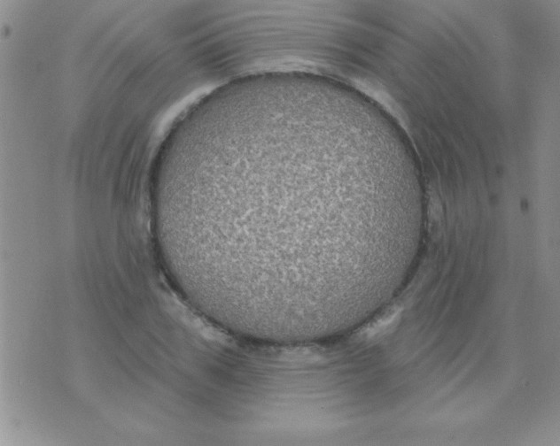 X0000071960979200607282029