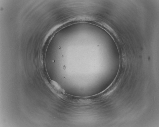 X0000071960981200607282029