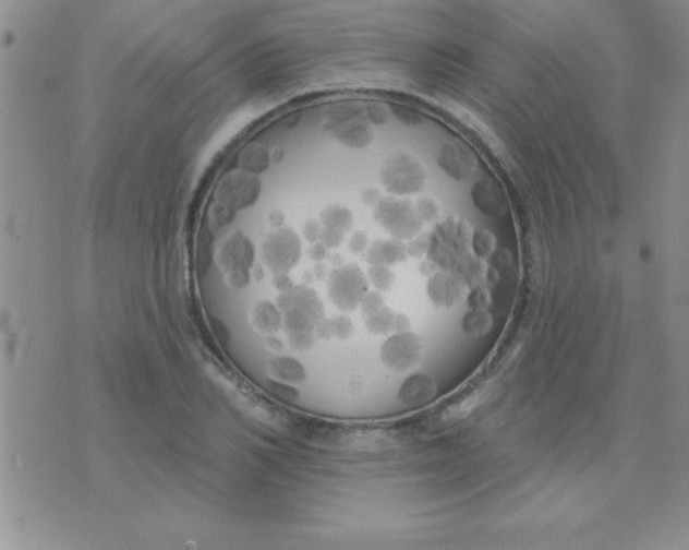 X0000071960982200607282029