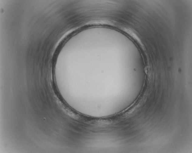 X0000071960984200607282029