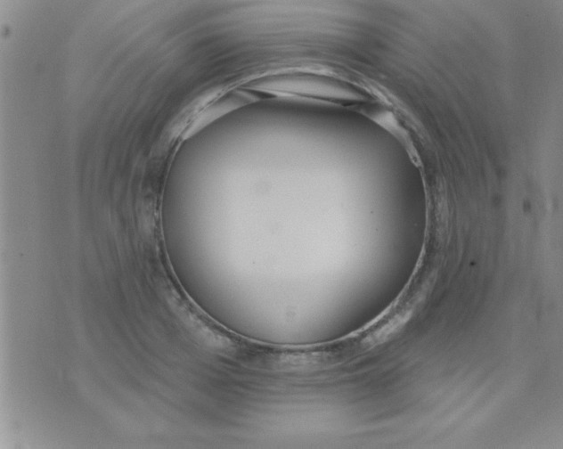 X0000071960985200607282029