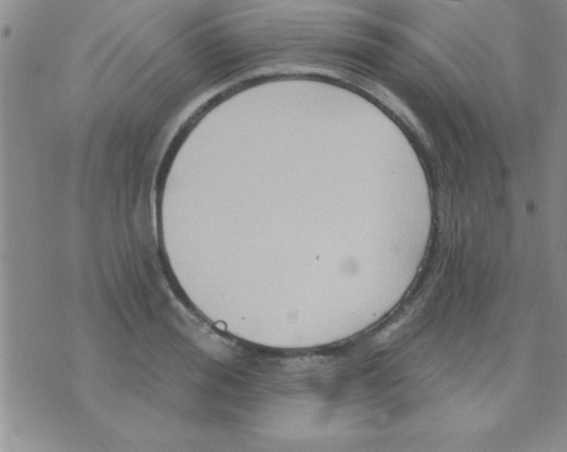 X0000071960988200607282029