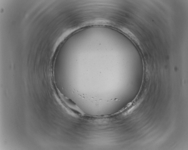 X0000071960989200607282029