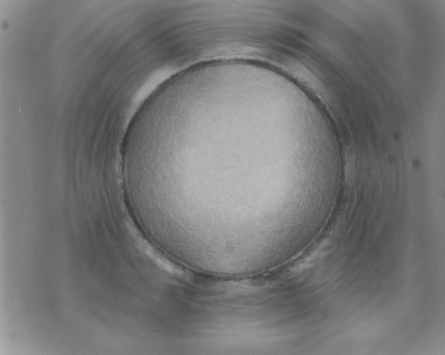 X0000071960990200607282029