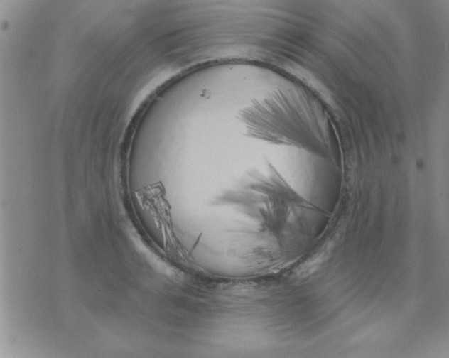 X0000071960991200607282029