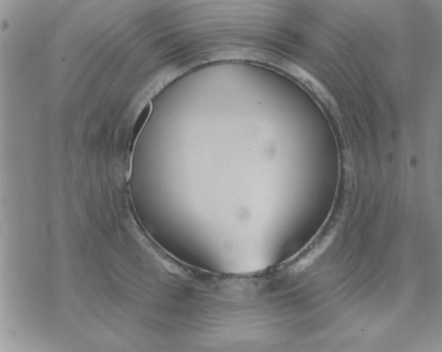 X0000071960993200607282029