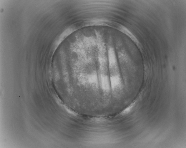 X0000071960994200607282029