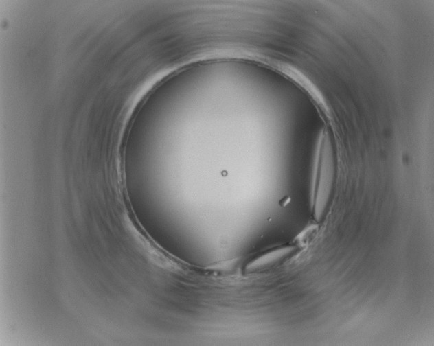 X0000071960996200607282029