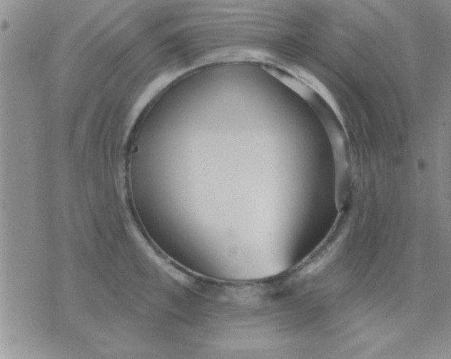 X0000071960997200607282029