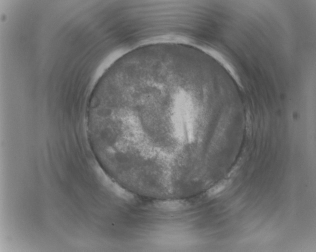 X0000071960998200607282028