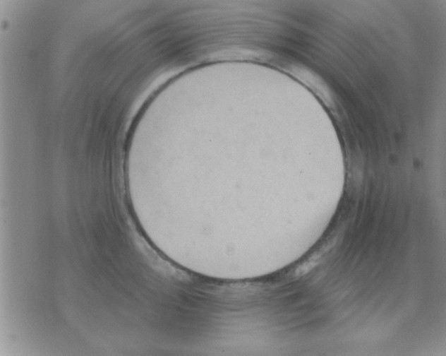 X0000071961000200607282028