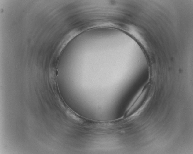 X0000071961001200607282028