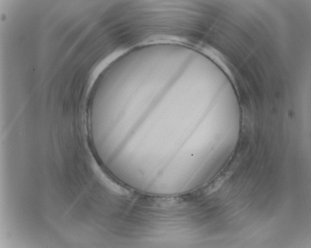 X0000071961003200607282028