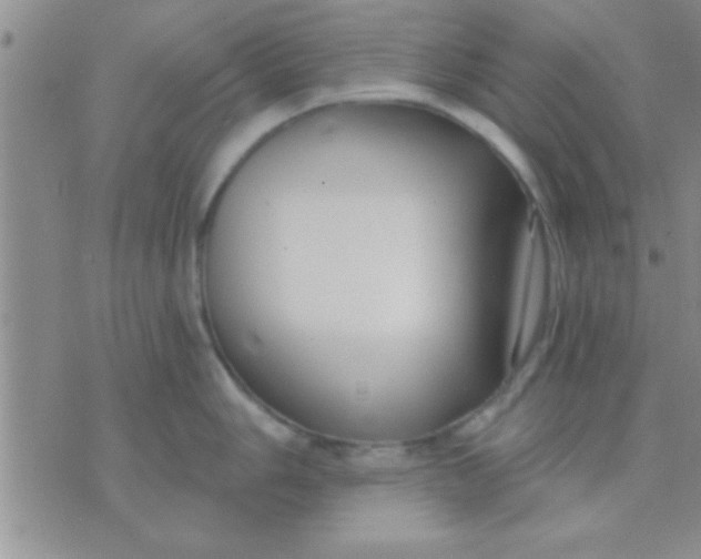 X0000071961006200607282028