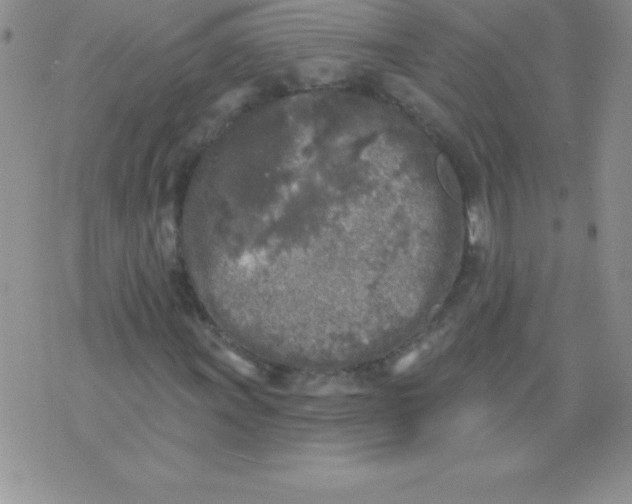 X0000071961011200607282028