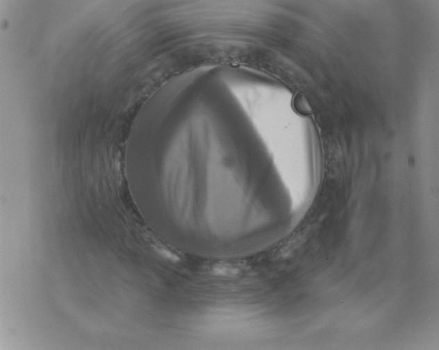 X0000071961013200607282028