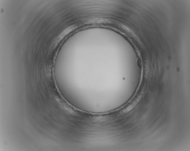 X0000071961017200607282028