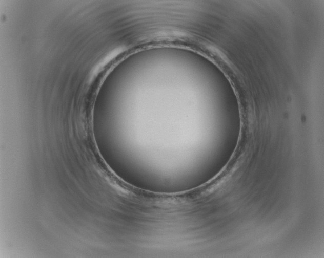 X0000071961018200607282028