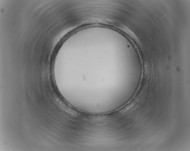 X0000071961020200607282028