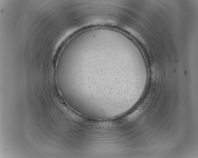 X0000071961021200607282028