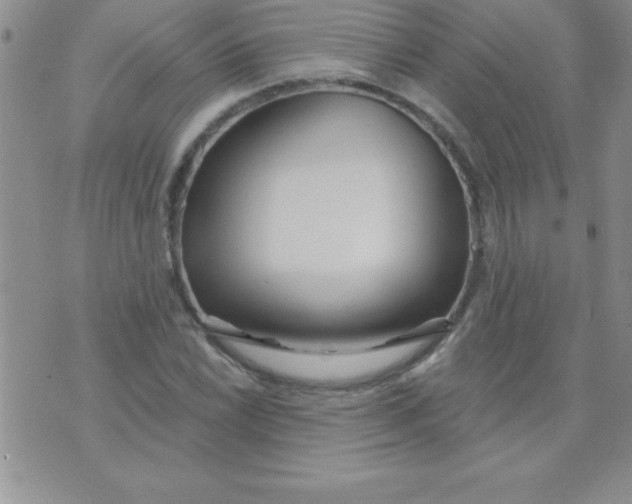 X0000071961022200607282028