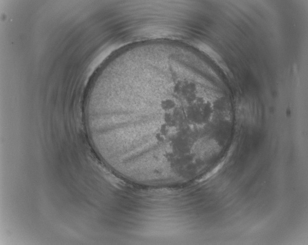 X0000071961023200607282028