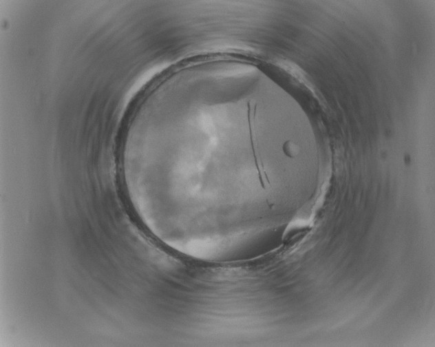 X0000071961024200607282028