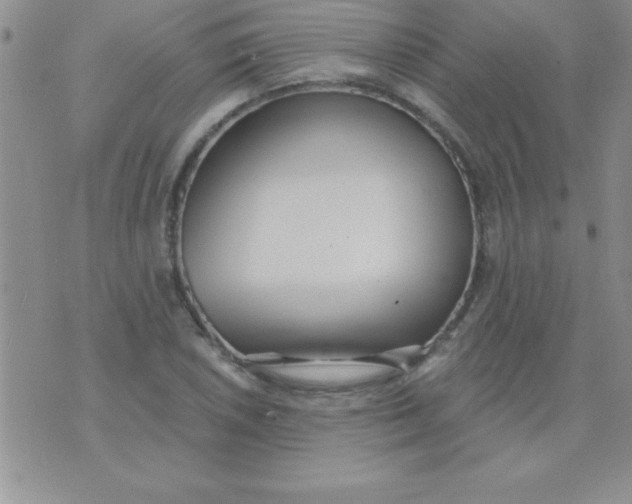 X0000071961026200607282028