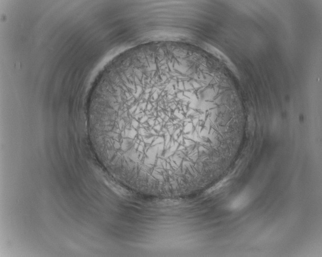 X0000071961027200607282028