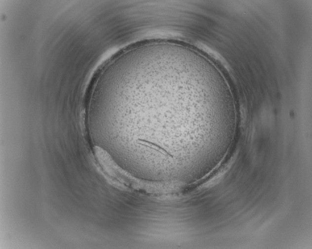 X0000071961029200607282028