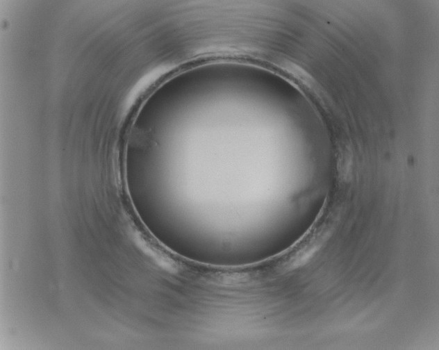 X0000071961030200607282028