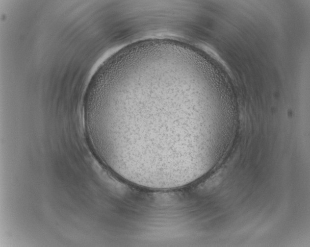 X0000071961032200607282028