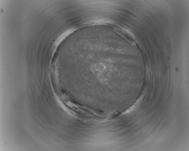 X0000071961034200607282028